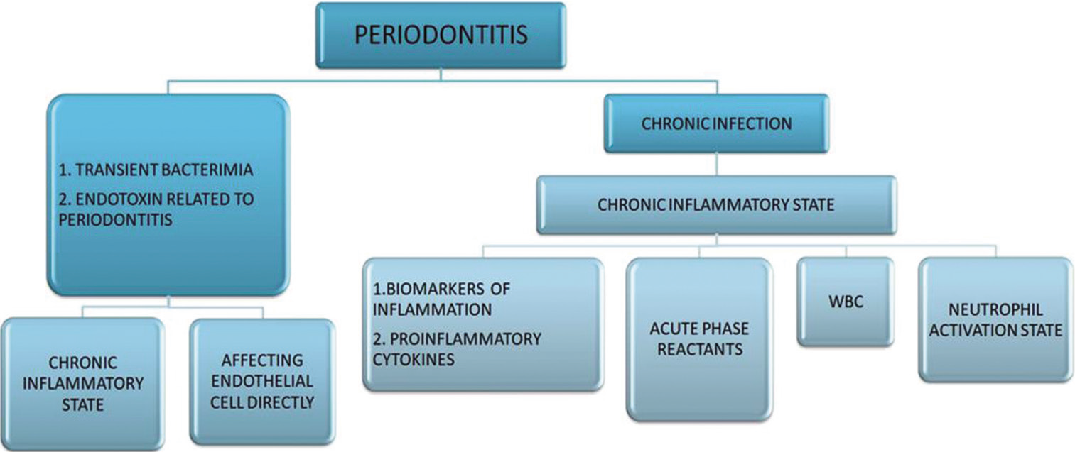 Mechanism elucidation association between periodontitis and cardiovascular diseases.