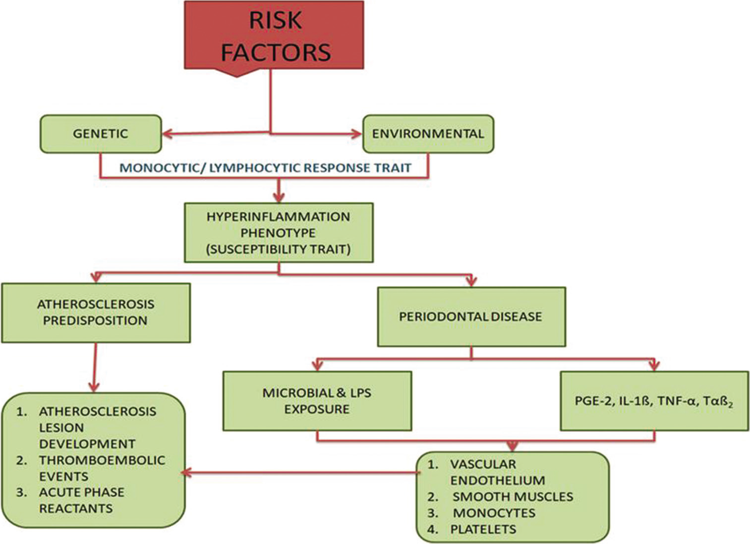 Biological tenability; risk factors of cardiovascular diseases.