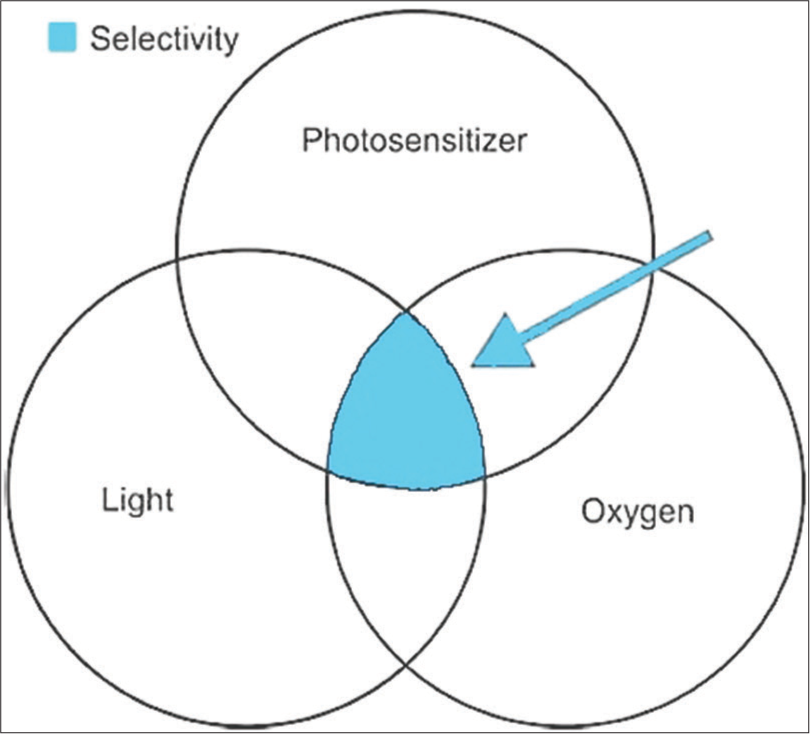 Venn diagram showing factors for successful photodynamic therapy.